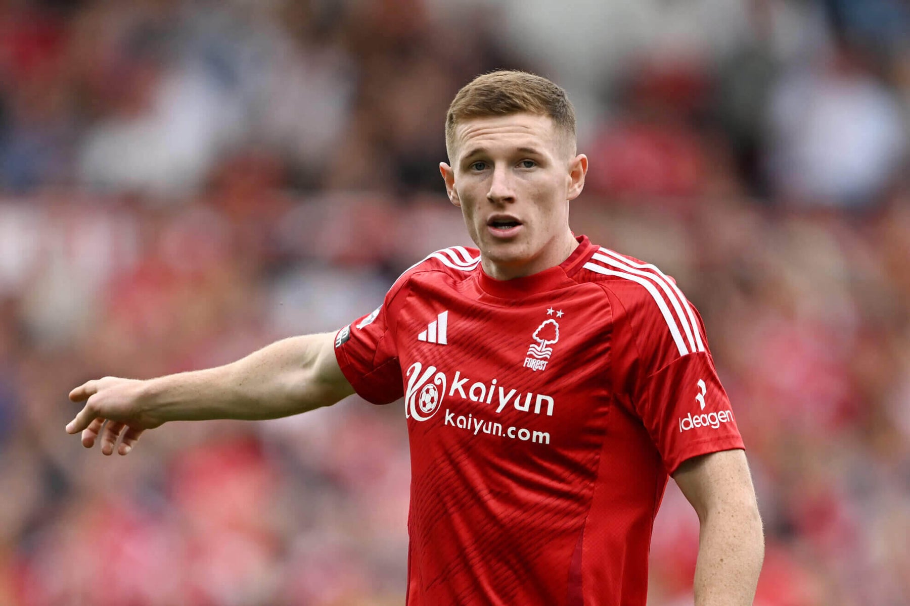 เอลเลียต แอนเดอร์สัน มีศักยภาพ