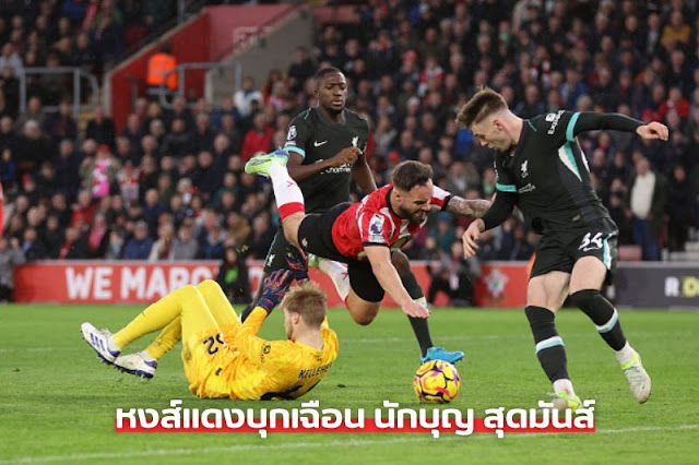 เซาธ์แฮมป์ตัน พบ ลิเวอร์พูล คา